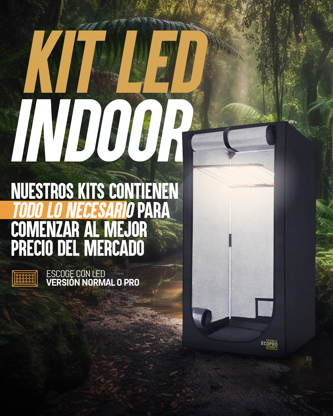 bnnr-kitindoor-mobile